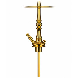 1546 MOZE TRADI M GOLD