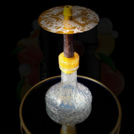 23 AMARILLO CHAMELEON URBAN STYLE