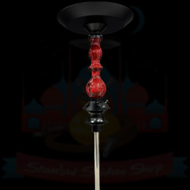 REGAL MINI QUEEN ART - ZEUS