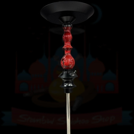 REGAL MINI QUEEN ART - ZEUS