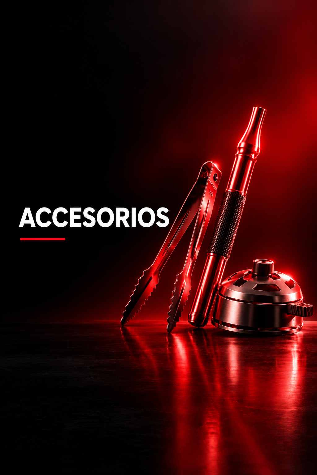 ACCESORIOS